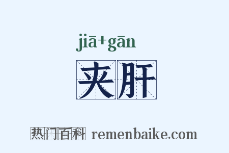 夹肝是什么意思的图片